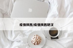 疫情陕西/疫情陕西硬汉