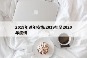 2019年过年疫情/2019年至2020年疫情