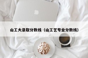 山工大录取分数线（山工艺专业分数线）