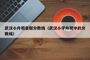 武汉小升初录取分数线（武汉小学升初中的分数线）