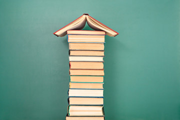 四驱车型(前油后电四驱车型)