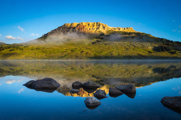 【官方回应上海阳性病例数增加,上海阳性患者】