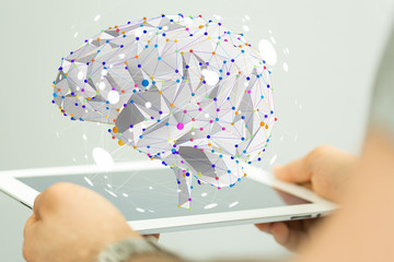 喀什新闻/喀什新闻联播回放2024年