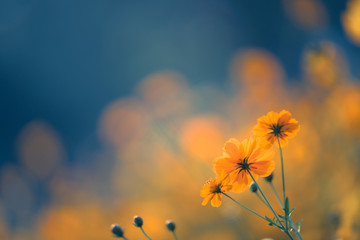 北京丰台区新增3个高风险区(丰台区是否高风险)