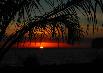 【货车属于什么车型,轻型多用途货车属于什么车型】