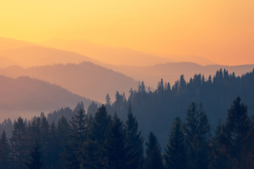 四川新增本土确诊3例均为外省返回/四川新增1例省外关联输入确诊