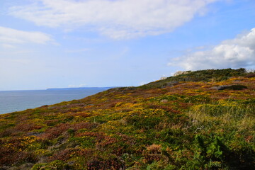 【呼和浩特新增本土确诊60例,呼和浩特新冠肺炎新增】