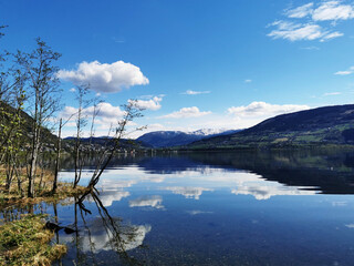 北京新增本土确诊病例详情(北京新增本土确诊病例行程)