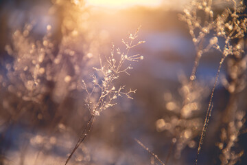 【各省第一波感染高峰时间预测,感染省份排行】
