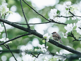 31省区市新增确诊病例6例/31省区市新增确诊5例