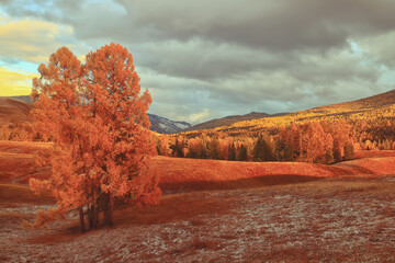 上海这9个区域划为疫情中风险区(上海哪几个区属于中风险区)
