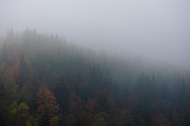 红旗h7轿车价格/红旗h7轿车价格是多少钱一辆