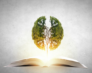 【本田suv全部车型,东风本田suv全部车型】