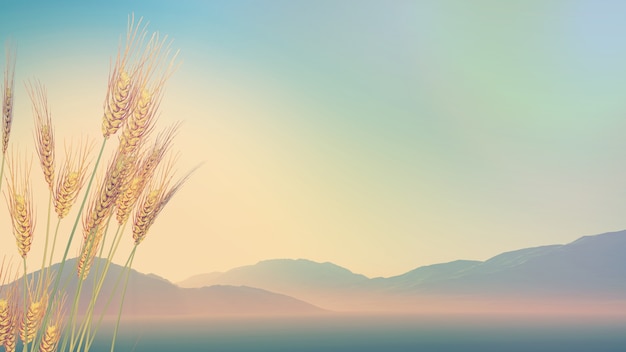 【各省第一波感染高峰,各省感染新型肺炎多少例】