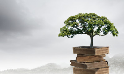 凯迪拉克新款xt5/凯迪拉克新款xt5油耗