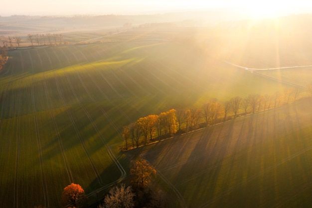 31省市新增确诊26例/31省区市新增确诊病例26例