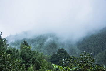 【浙江省最新新冠疫情,浙江省最新新冠状病毒情况】